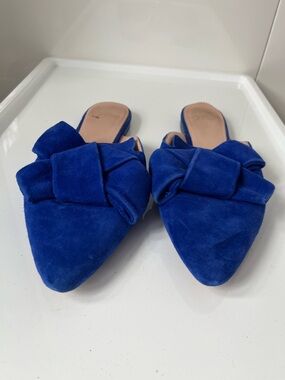 J. Crew Royal Blue Suede Pointed Bow Mules